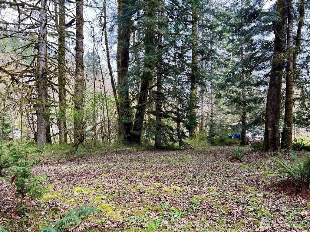 680 Mountain Trail Brinnon WA 98320
