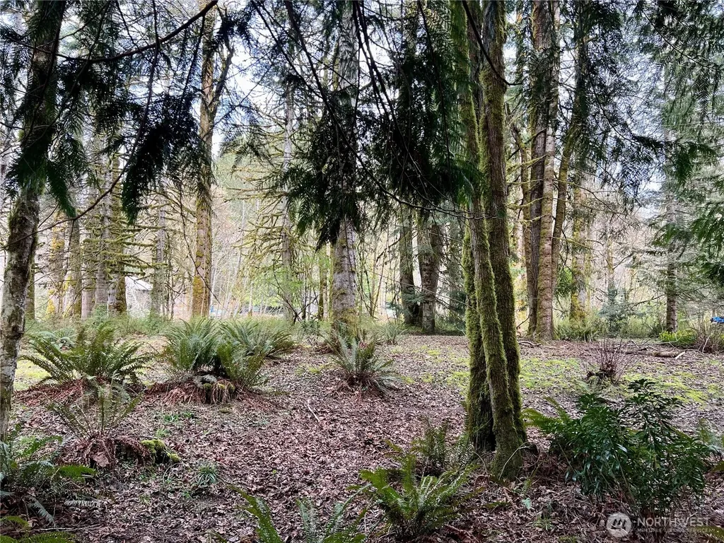 680 Mountain Trail Brinnon WA 98320