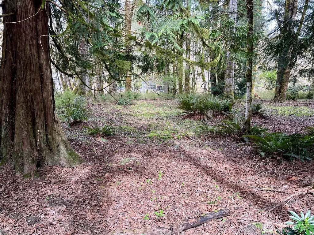 680 Mountain Trail Brinnon WA 98320