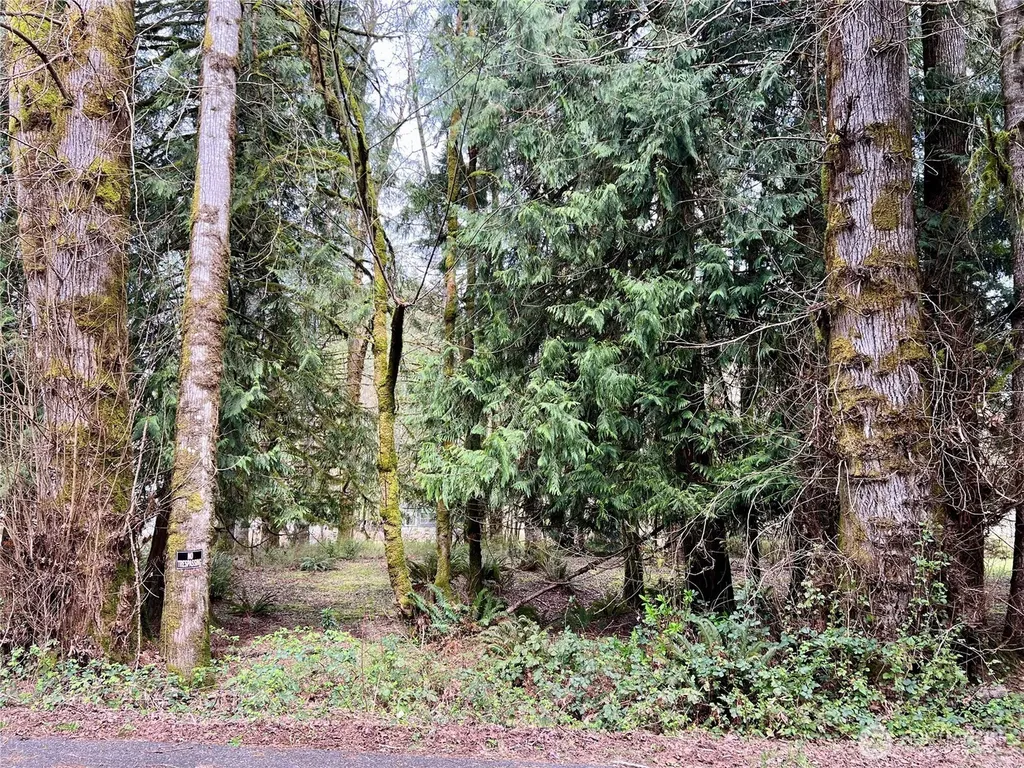 680 Mountain Trail Brinnon WA 98320