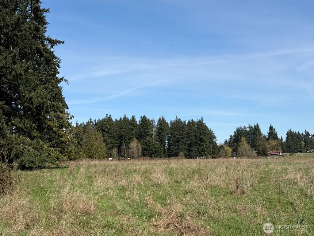 11938 Case Extension Road SW Olympia WA 98512