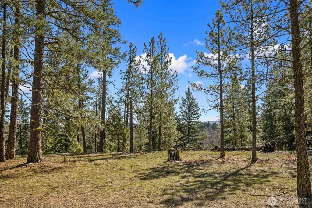 38 Wanawish Loop Cle Elum WA 98922