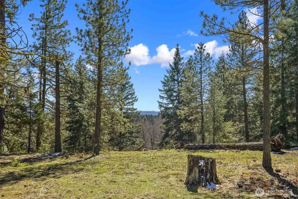 38 Wanawish Loop Cle Elum WA 98922