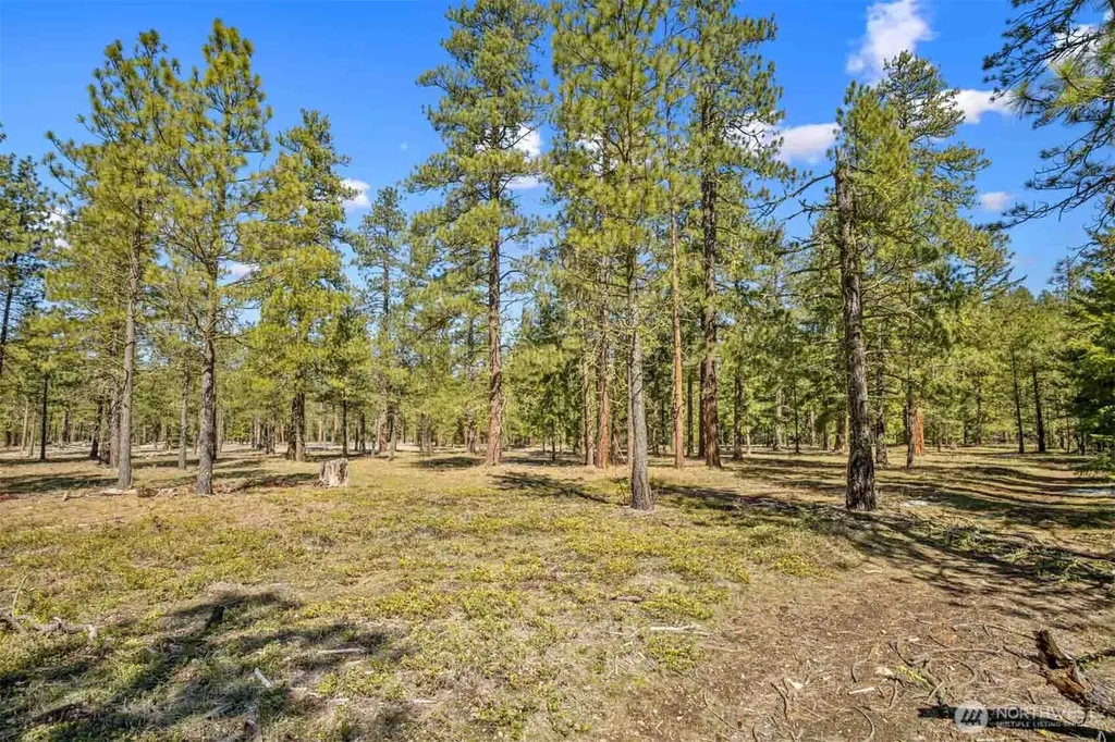 38 Wanawish Loop Cle Elum WA 98922