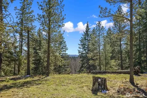 38 Wanawish Loop Cle Elum WA 98922