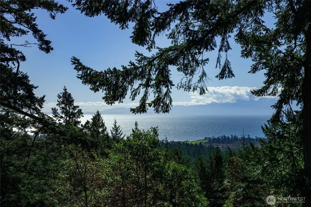 391 Little Mountain Road Friday Harbor WA 98250