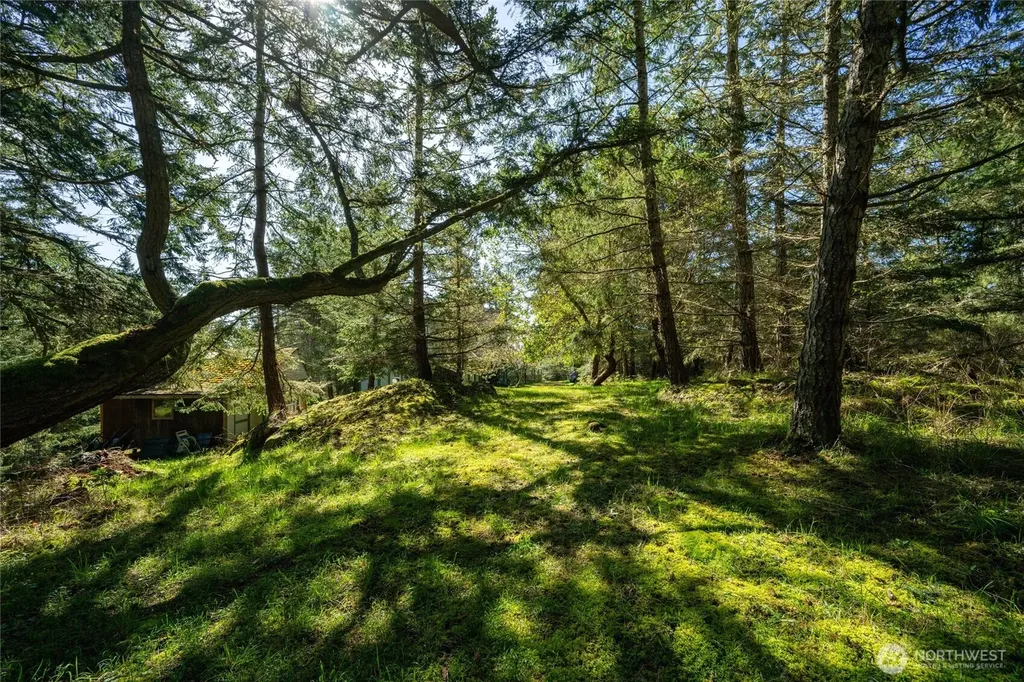 391 Little Mountain Road Friday Harbor WA 98250