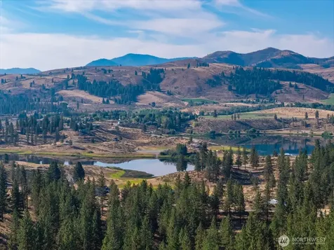 96 Twin Lakes Drive Winthrop WA 98862