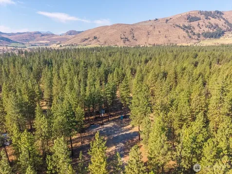 96 Twin Lakes Drive Winthrop WA 98862