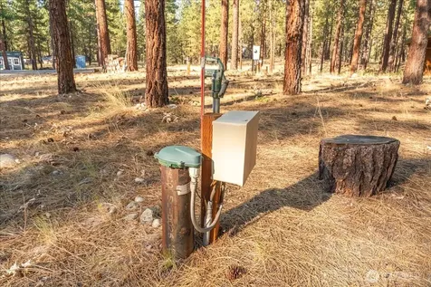 96 Twin Lakes Drive Winthrop WA 98862