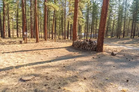 96 Twin Lakes Drive Winthrop WA 98862