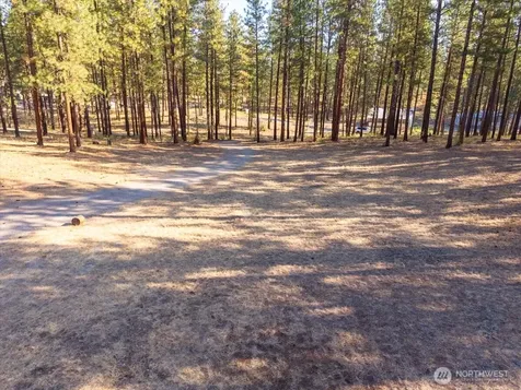 96 Twin Lakes Drive Winthrop WA 98862