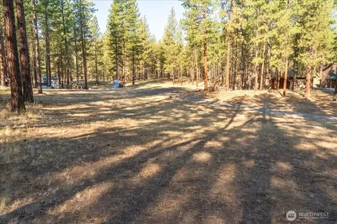 96 Twin Lakes Drive Winthrop WA 98862