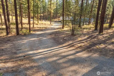 96 Twin Lakes Drive Winthrop WA 98862