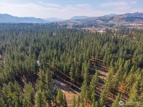 96 Twin Lakes Drive Winthrop WA 98862