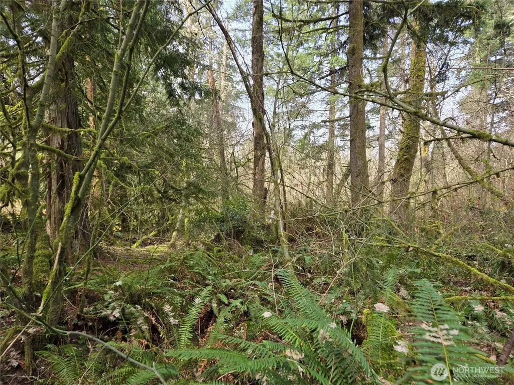 197 242nd Avenue NE Woodinville WA 98077