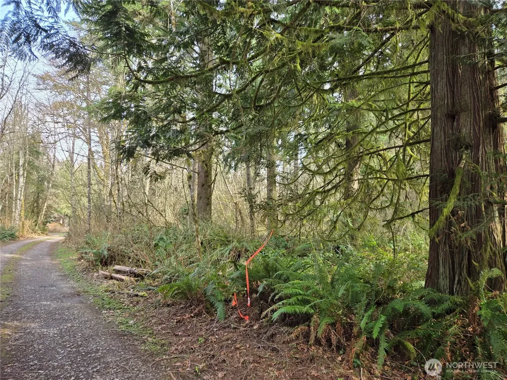 197 242nd Avenue NE Woodinville WA 98077