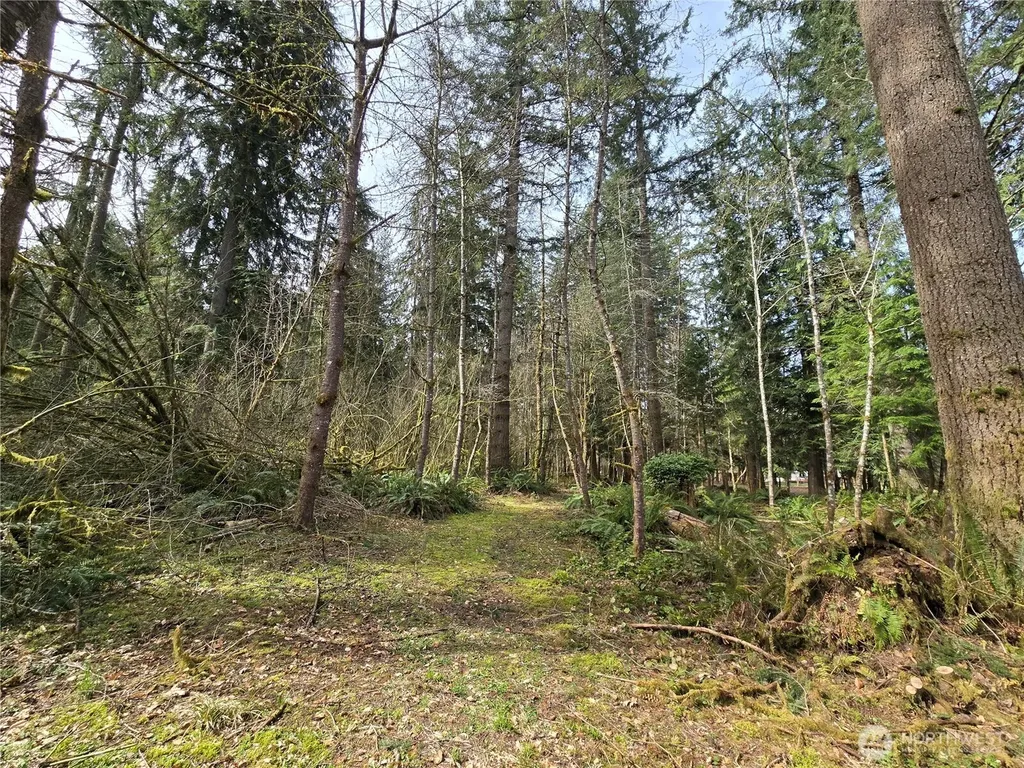 197 242nd Avenue NE Woodinville WA 98077