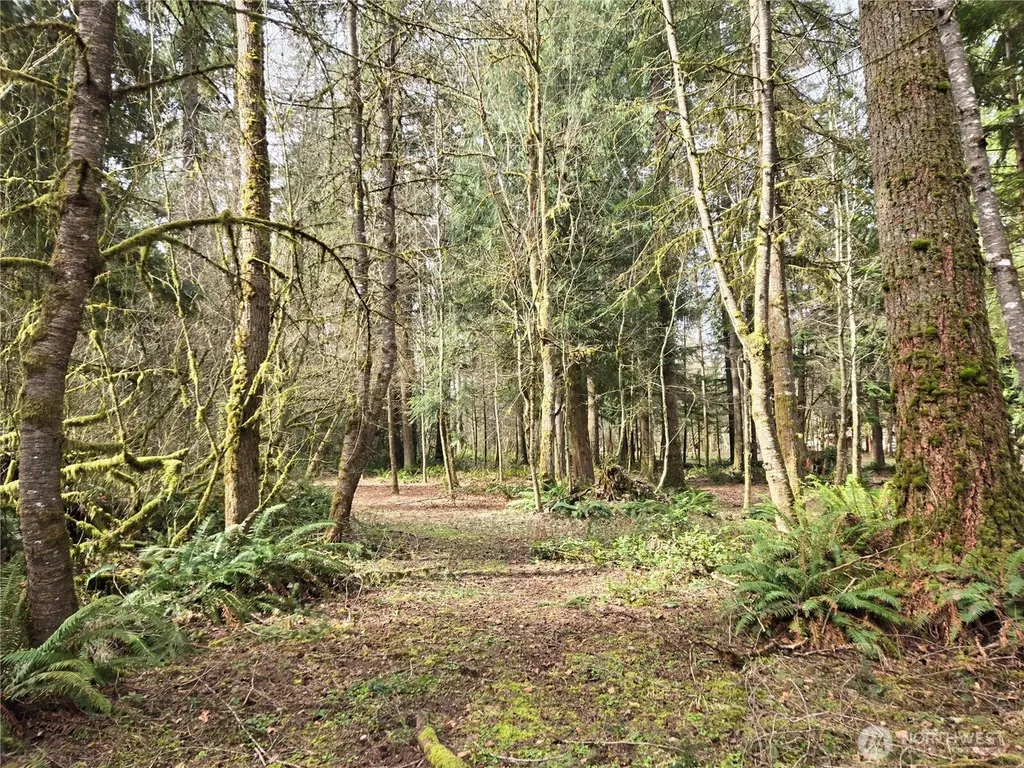 197 242nd Avenue NE Woodinville WA 98077