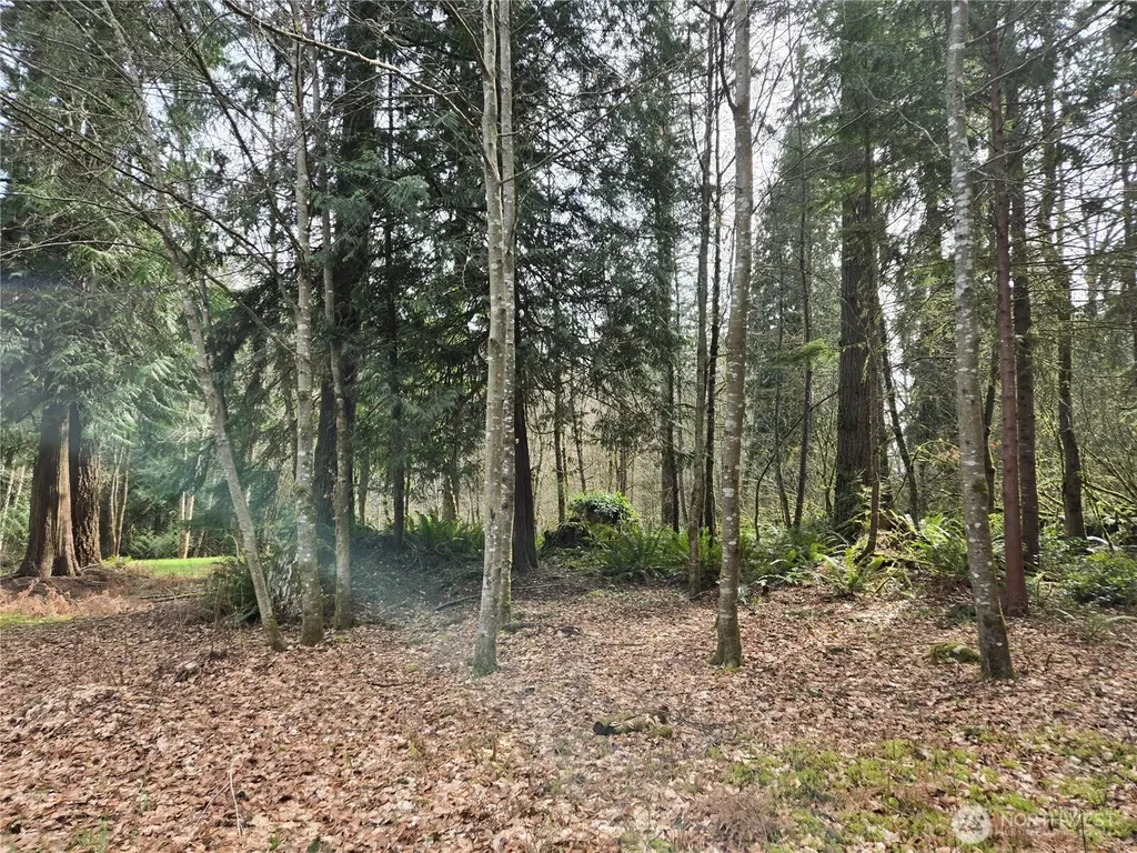 197 242nd Avenue NE Woodinville WA 98077