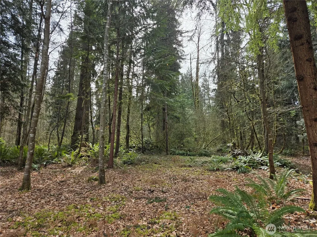 197 242nd Avenue NE Woodinville WA 98077
