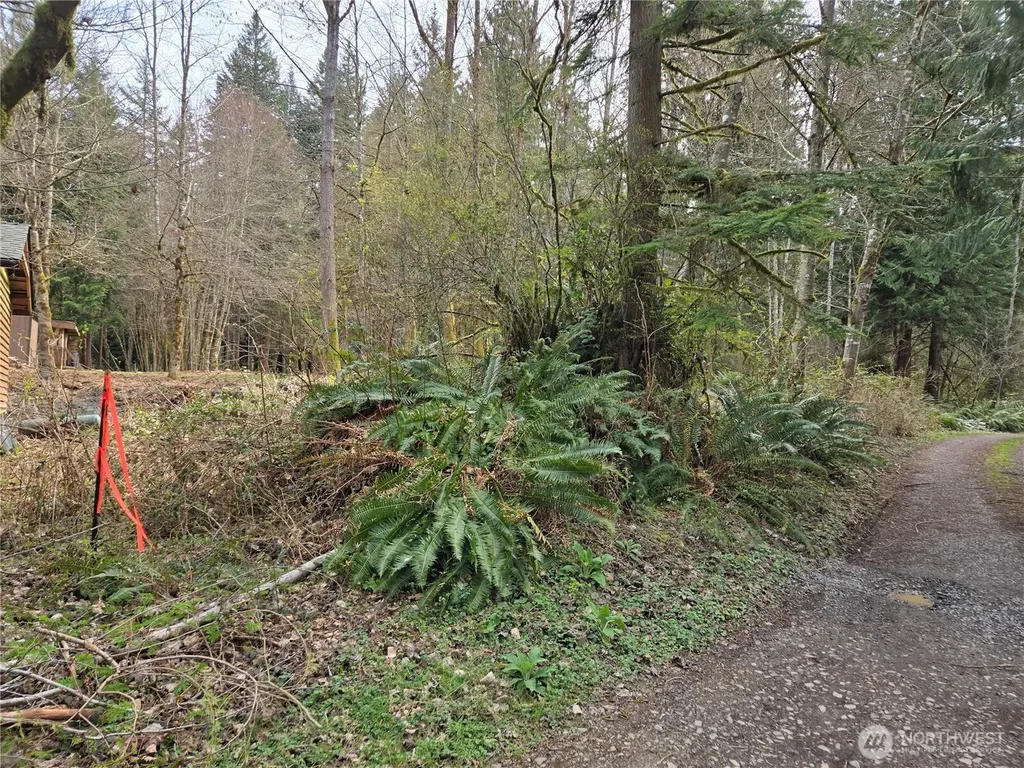 197 242nd Avenue NE Woodinville WA 98077