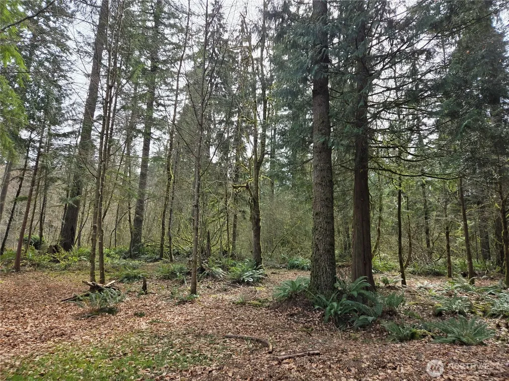 197 242nd Avenue NE Woodinville WA 98077