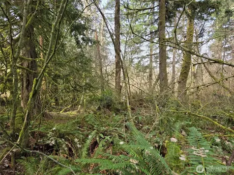 197 242nd Avenue NE Woodinville WA 98077