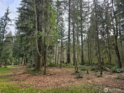 197 242nd Avenue NE Woodinville WA 98077