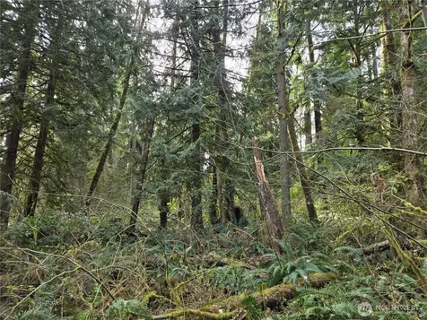 197 242nd Avenue NE Woodinville WA 98077