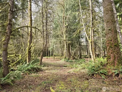 197 242nd Avenue NE Woodinville WA 98077