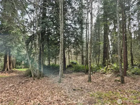 197 242nd Avenue NE Woodinville WA 98077