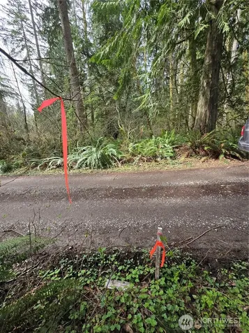 197 242nd Avenue NE Woodinville WA 98077