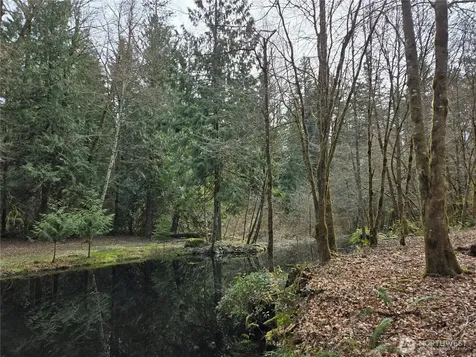 197 242nd Avenue NE Woodinville WA 98077