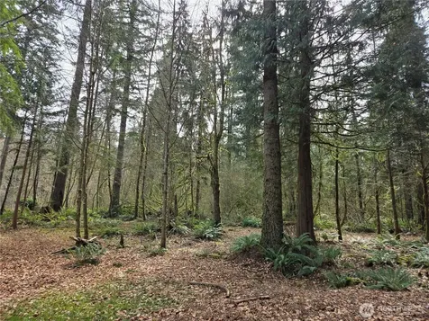 197 242nd Avenue NE Woodinville WA 98077