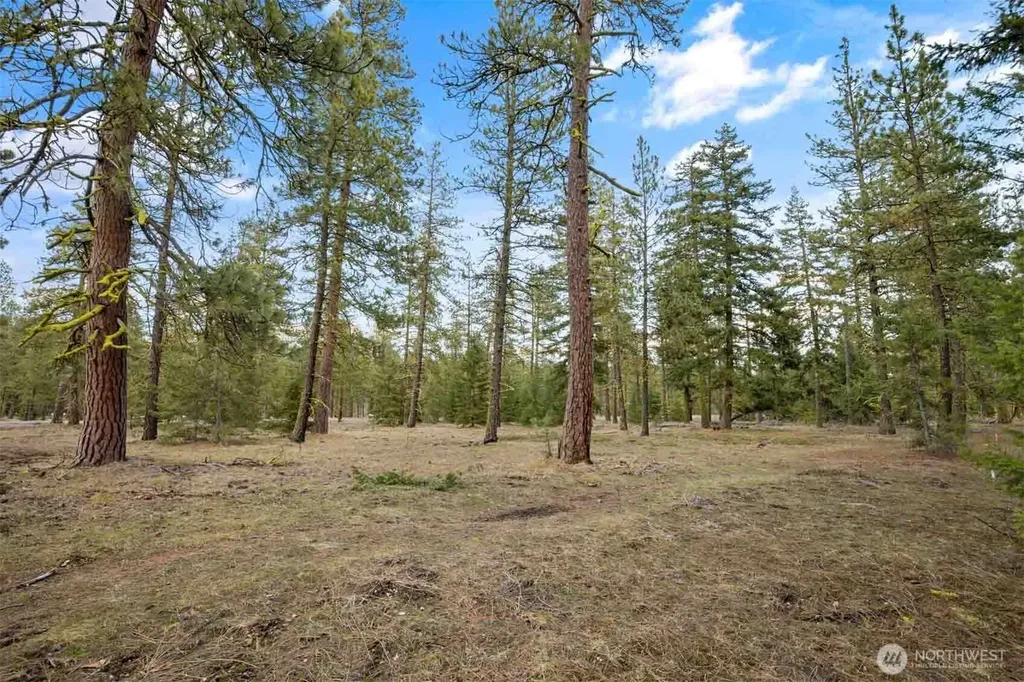 28 Wanawish Loop Cle Elum WA 98922