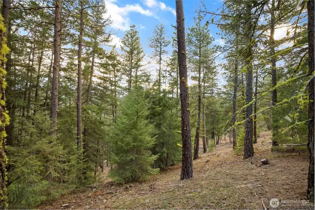 28 Wanawish Loop Cle Elum WA 98922