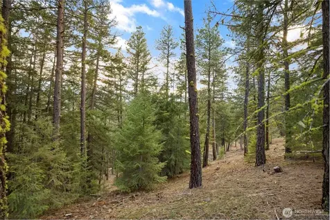 28 Wanawish Loop Cle Elum WA 98922