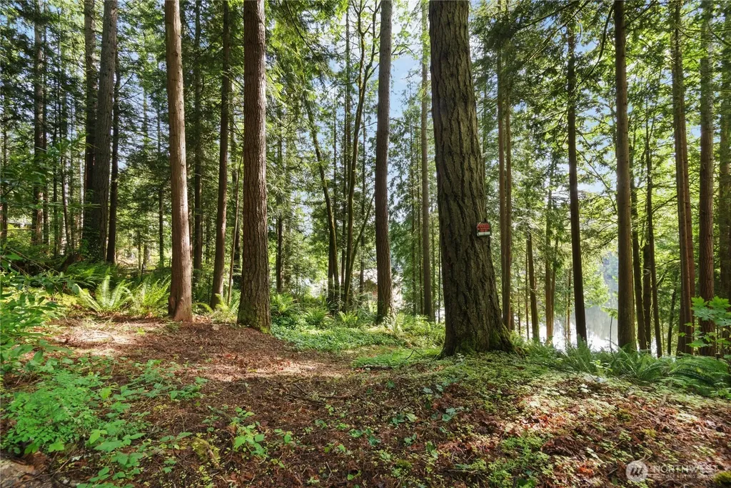 3304 W Ames Lake Drive NE Redmond WA 98053