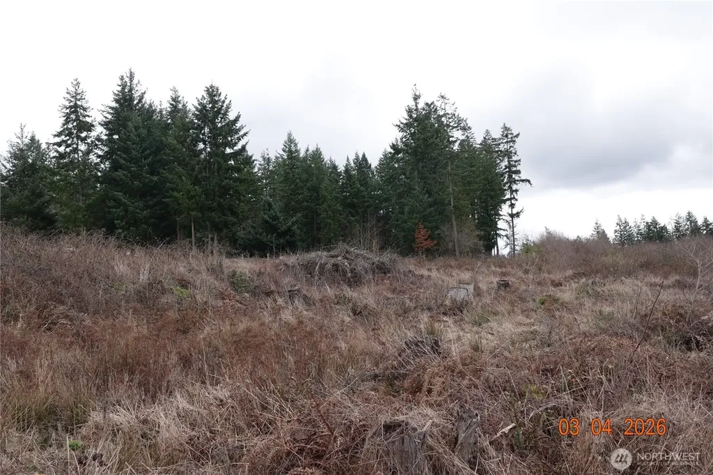 1806 414th Street E Eatonville WA 98328