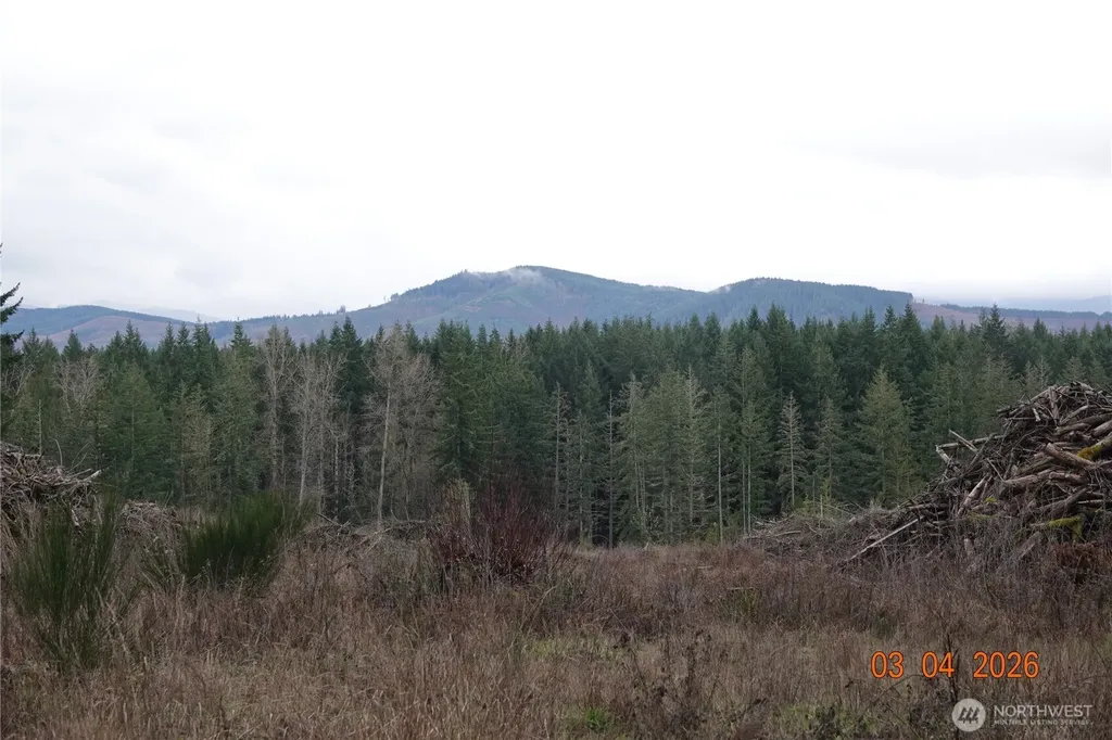 1806 414th Street E Eatonville WA 98328
