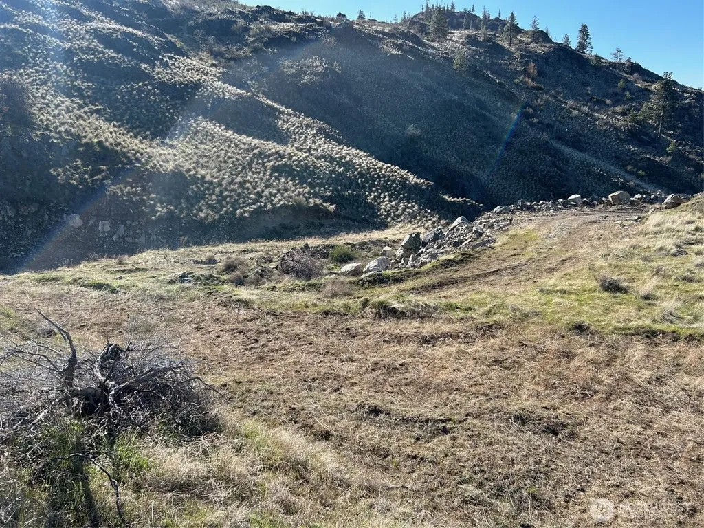 1669 Emerson Acres Road Manson WA 98831