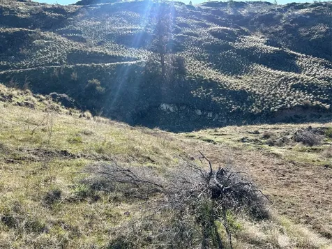 1669 Emerson Acres Road Manson WA 98831