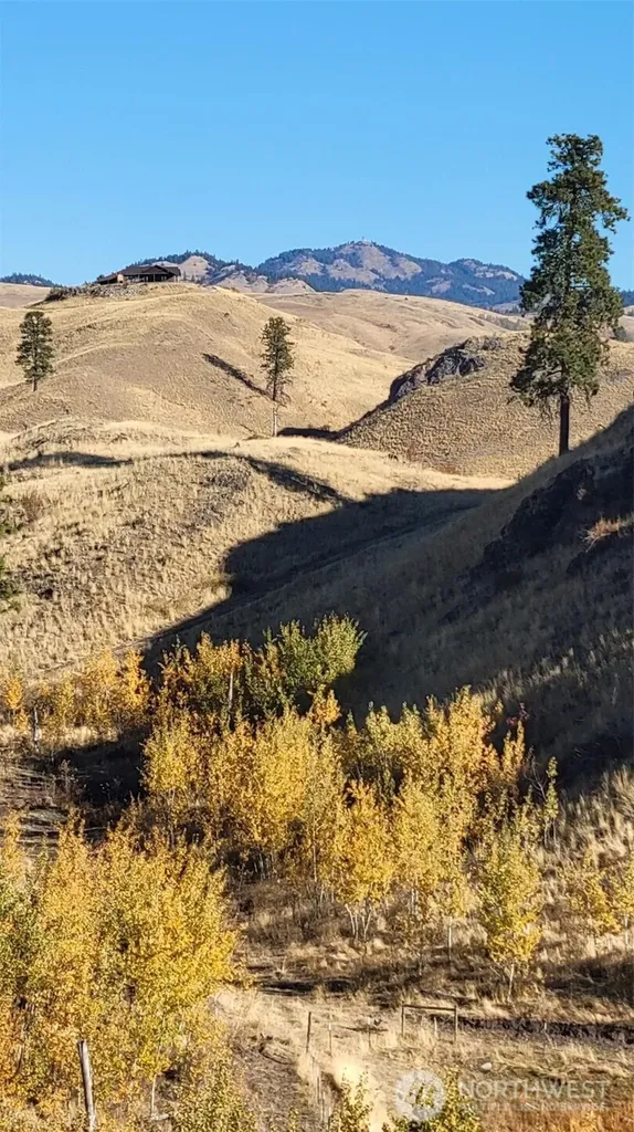 0 Harrier Lane Tonasket WA 98855