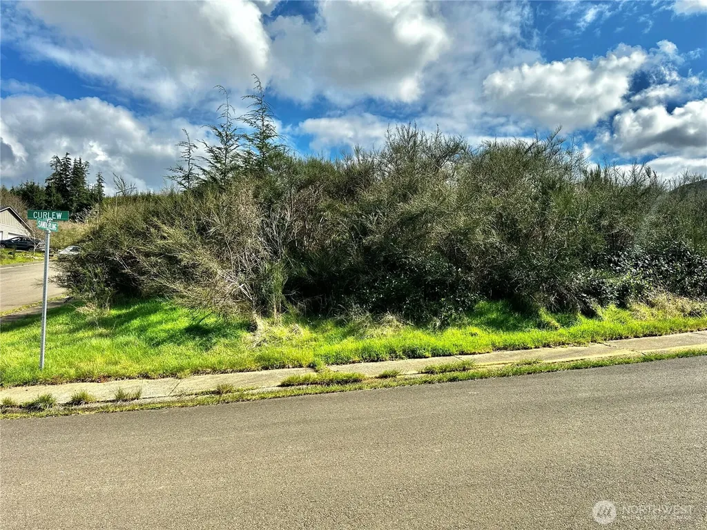 0 Curlew Court Hoquiam WA 98550