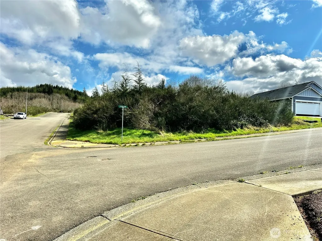 0 Curlew Court Hoquiam WA 98550