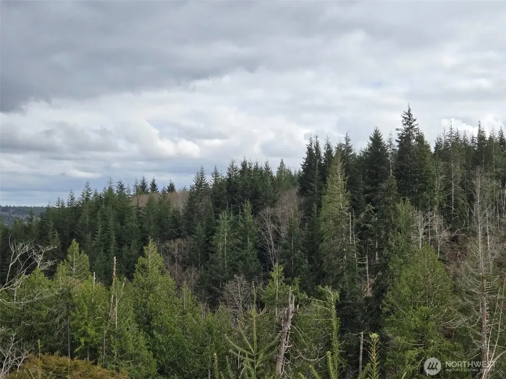 0 Hoquiam Wishkah Road Hoquiam WA 98550