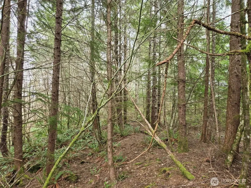 0 Hoquiam Wishkah Road Hoquiam WA 98550