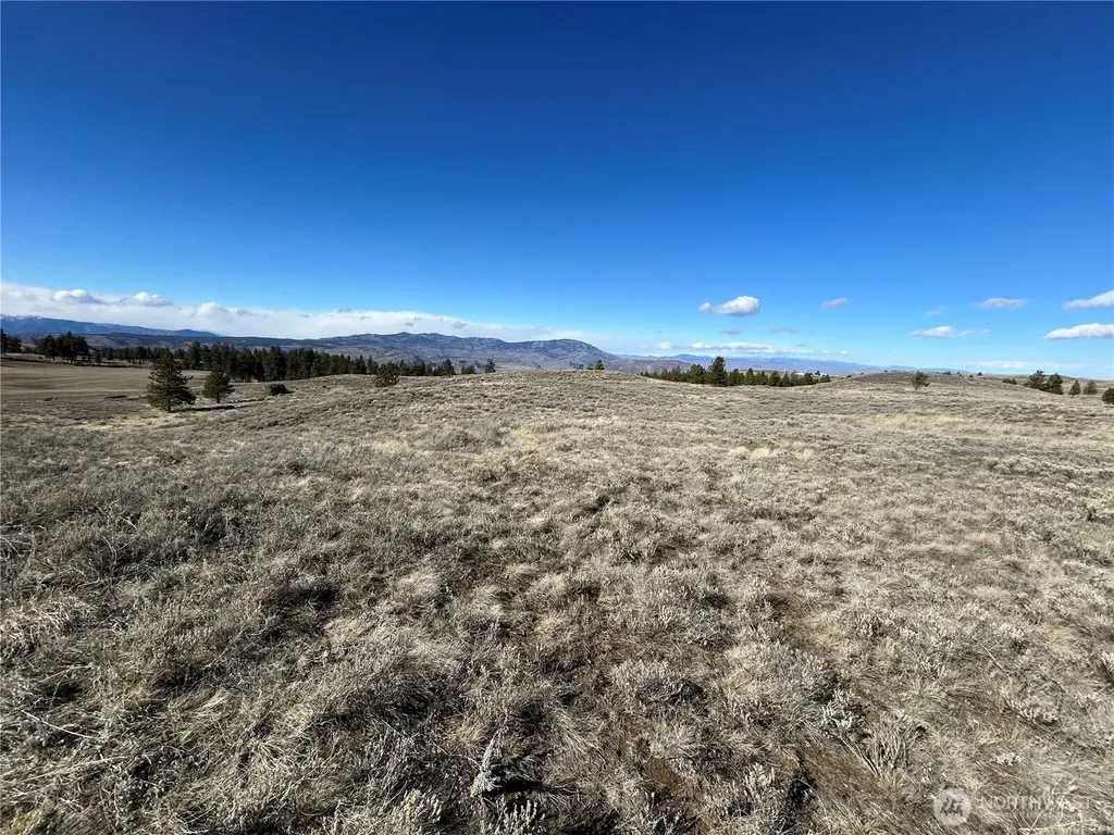 0 Columbia River Bluffs Road Waterville WA 98858
