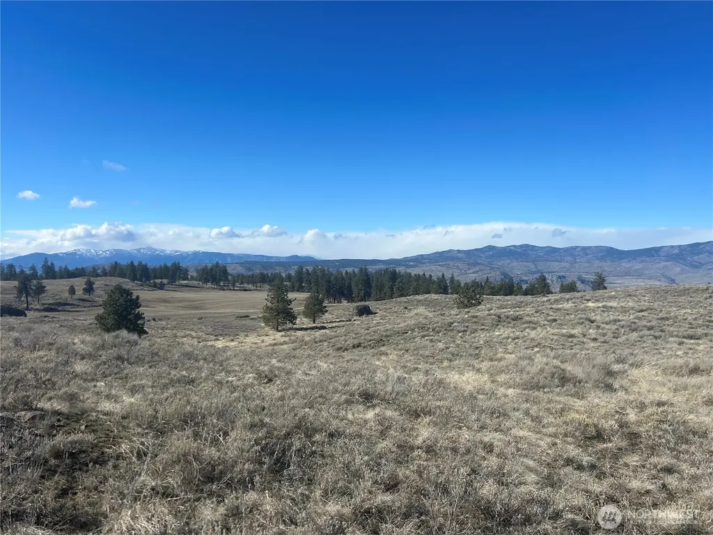 0 Columbia River Bluffs Road Waterville WA 98858